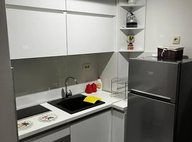 Pro Anima Pekovic Apartman Zlatibor